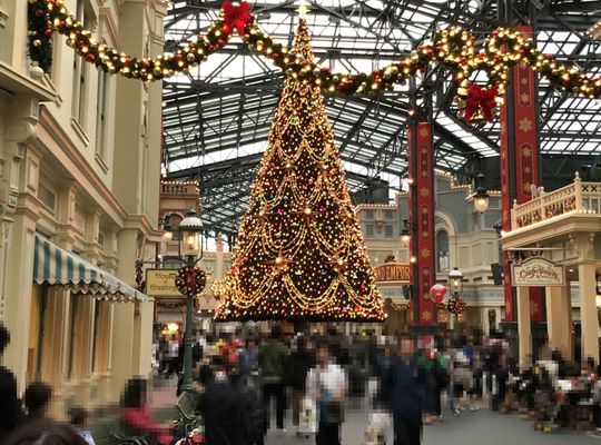 クリスマスツリー